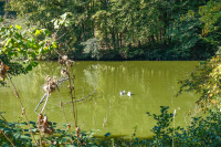 /album/entlang-der-teiche-und-uber-das-hugelland-nordlich-des-sulmtales-23-september-2026/st-martin-im-sulmtal-23-09-2026-3-jpg/